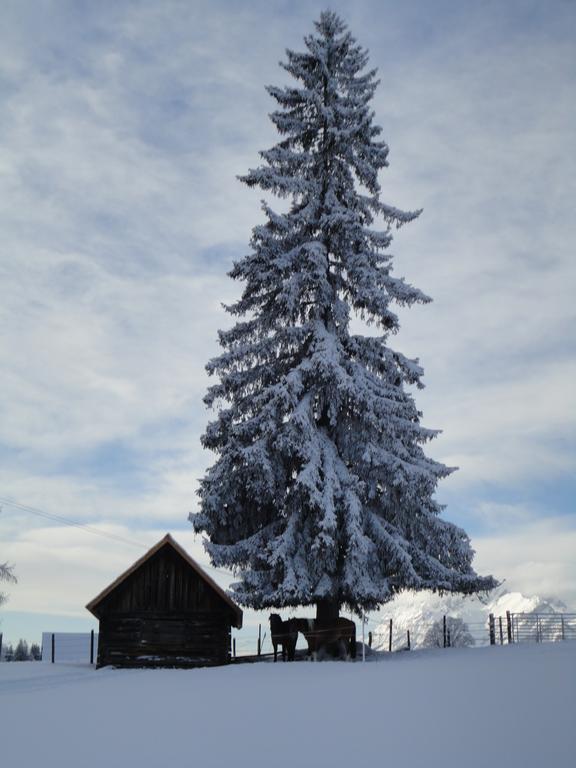 Ferienhaus Bichlhuette พรุกแกร์น ห้อง รูปภาพ